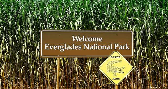 Everglades National Park Florida - Airboat Everglades Adventure Tour in Orlando