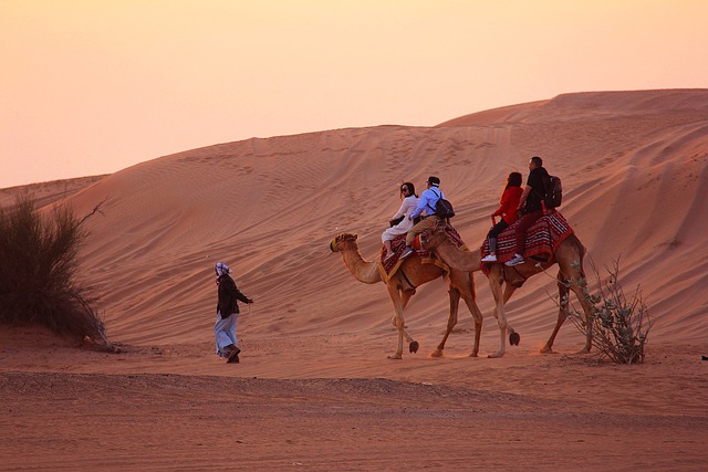 Camel Ride - Dubai Desert Safari